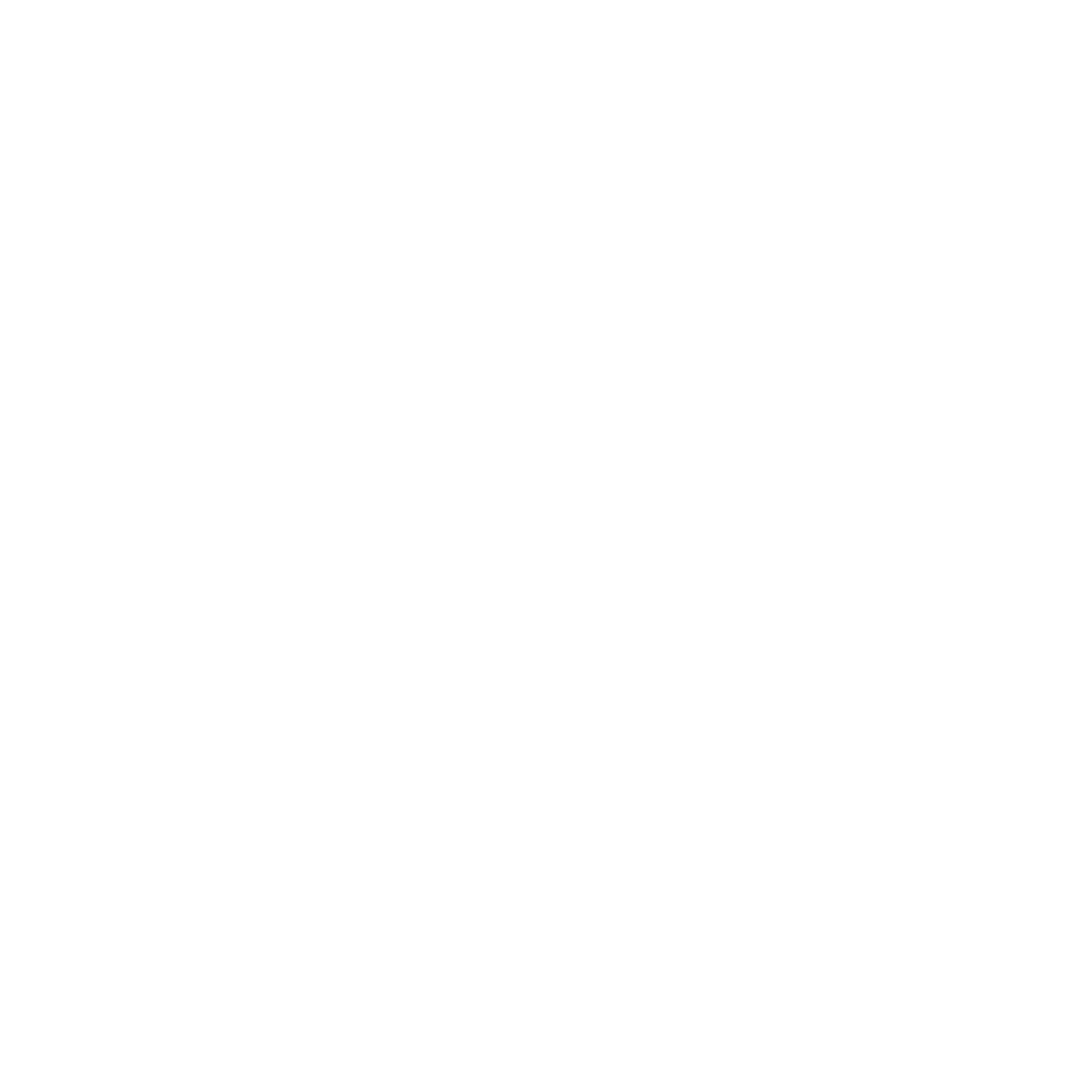 icons website-03