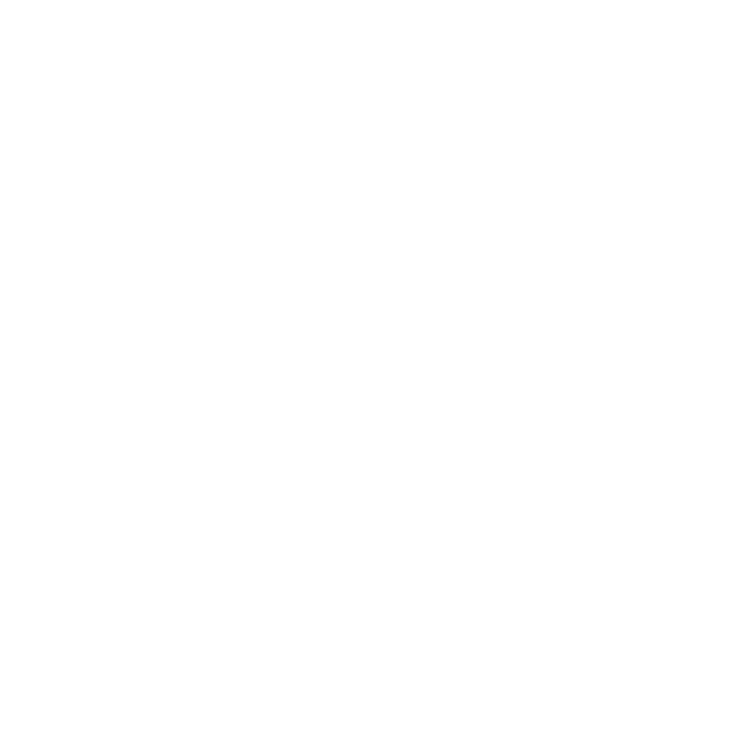 icons website-04